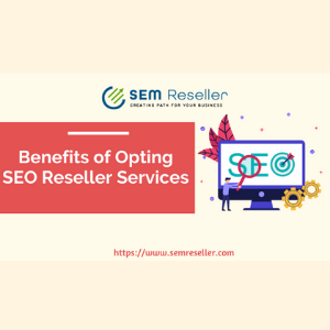 What are the benefits of opting SEO reseller services?