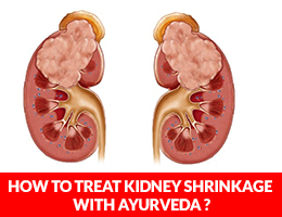 How To Treat Kidney Shrinkage With Ayurveda?