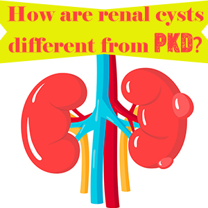 How are renal cysts different from PKD?