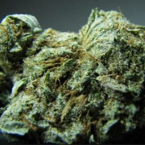 Grow your love for OG Kush Marijuana Strain by getting the gorgeous varieties