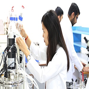 The Role and Job Responsibilities of Chemical Engineers