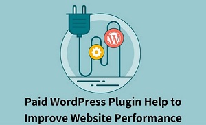 7 Paid WordPress Plugin Will Help To Website Performance