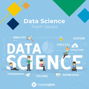 Data Science Team Roles