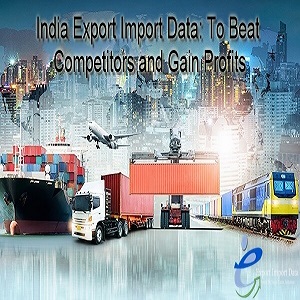 Export and Import Data Bank: To Beat Competitors and Gain Profits!