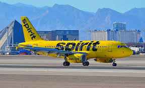 How can you make your reservations in Spirit Airlines?