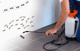 Effective Uses Of Pest Control