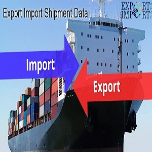 Import Export Data Bank: A Key to Success in EXIM Business!