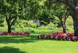staten island lawn service  -  Best Service Providers Available Today