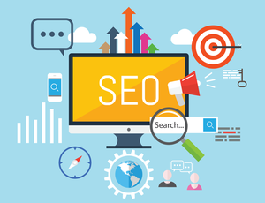How Seo Services Davie Help To Increase Brand’s Popularity?