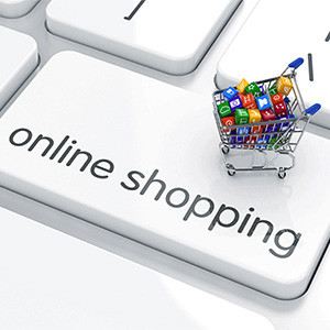 Effective Parameters to Judge a Successful Shopping Portal