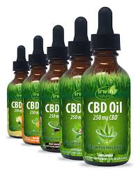 Cannabis Oil – Just Enhance Your Knowledge Now!