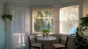 Blinds Vs Shutters – Which to Get for Your Modern Home?