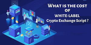 Coinbase Application — A virtual partner for cryptocurrency exchanges