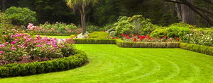 How to hire the best landscaping company