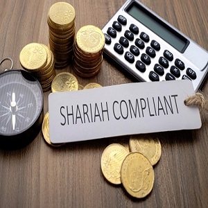 Maximum investment opportunities in UAE 