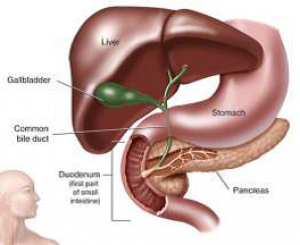 How Long Does It Take To Recover From Gall Bladder Treatment?