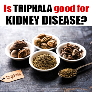 Is Triphala good for kidney disease?