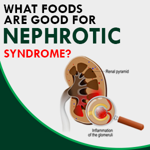 What foods are good for nephrotic syndrome?