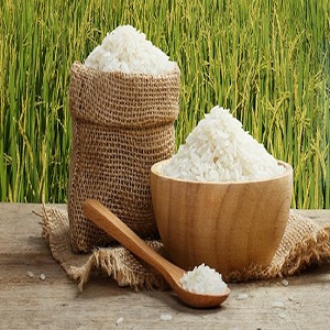 Basmati rice suppliers in india