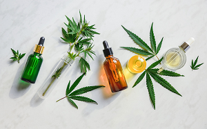 A Useful Guide for Various CBD Products