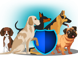 Pet Insurance in New York City