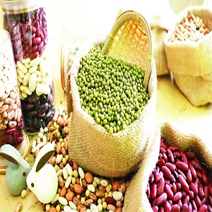 Pulses export from India