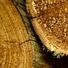 3 Affordable Sources to Find Hard Firewood Logs for Sale 