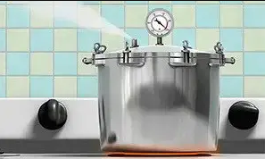 The Aftermath of Pressure Cooker Explosion: What to do?  