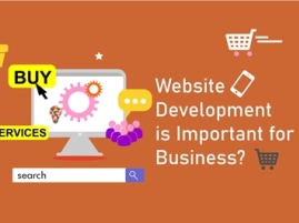 Why Website Development is Important for Business?