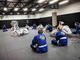 Top Facts About Jiu-Jitsu For Beginners