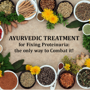 Ayurvedic treatment for fixing proteinuria: the only way to combat it!