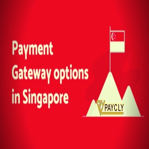 Why do we need payment gateway for payments?