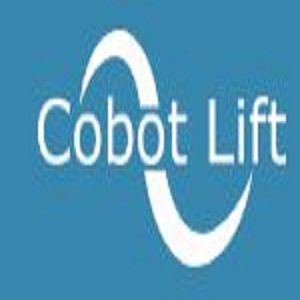 Palletizing Robots For Efficient Operations