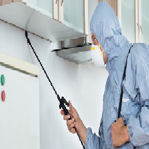 Expect the best Pest Control services for your requirement
